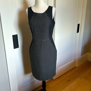 Banana Republic Navy sheath dress.
